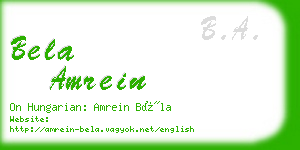 bela amrein business card